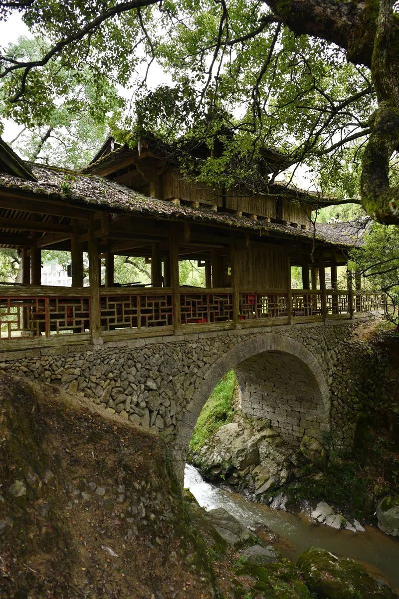 闽浙廊桥②从寿宁到泰顺,廊桥连接的是山间生活