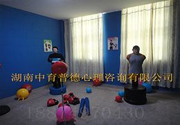 心理宣泄人_心理发泄设备_宣泄室(图3)