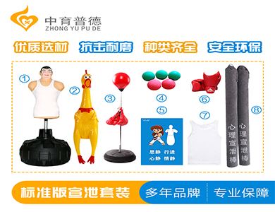 心理标准版宣泄设备_智能宣泄套装(图1)