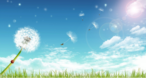 1-200H21P515357.png